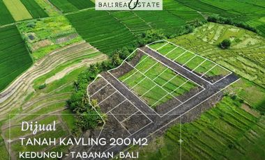 Dijual Tanah Kavling mulai 2 Arean lokasi view sawah dekat pantai Kedungu Bali.
