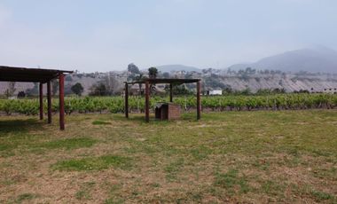 ¡Oportunidad única! Terreno agrícola en venta con producción de pisco en el Valle de Azpitia