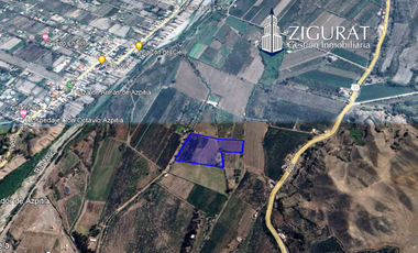 ¡Oportunidad única! Terreno agrícola en venta con producción de pisco en el Valle de Azpitia