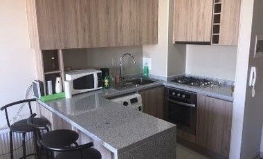 DEPARTAMENTO DOÑA CARMEN - TEMUCO / ARRENDADO