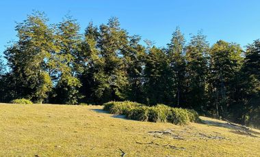 CAMPO 17 HA LA MISIÓN COSTA DE OSORNO