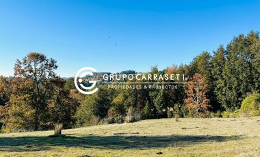 CAMPO 17 HA LA MISIÓN COSTA DE OSORNO