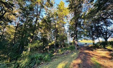 CAMPO 17 HA LA MISIÓN COSTA DE OSORNO