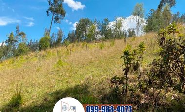 Terreno de Venta, Sector del Colegio Borja T252