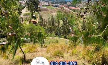 Terreno de Venta, Sector del Colegio Borja T252