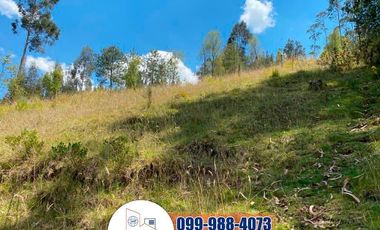 Terreno de Venta, Sector del Colegio Borja T252