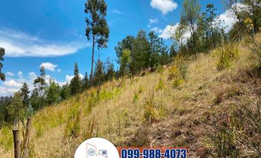 Terreno de Venta, Sector del Colegio Borja T252