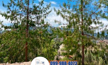 Terreno de Venta, Sector del Colegio Borja T252