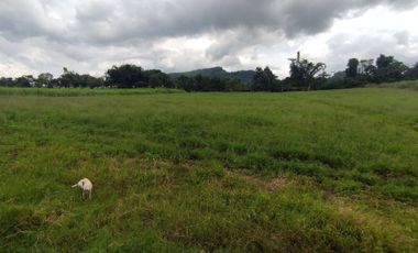 7.3 Hectares Farm Lot for Sale in Lilingayon, Valencia City, Bukidnon