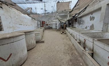 VENDO TERRENO  COMERCIAL EN LURIN – 4 FRENTES -  PANAMERICANA SUR KM 34.9 - AAHH NUEVO LURIN KM 40