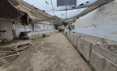 VENDO TERRENO  COMERCIAL EN LURIN – 4 FRENTES -  PANAMERICANA SUR KM 34.9 - AAHH NUEVO LURIN KM 40