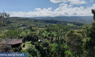 Casa Finca En Moniquirá, Boyacá - 2500 Mts