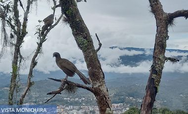 Casa Finca En Moniquirá, Boyacá - 2500 Mts