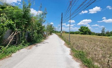 1 Hectare Agricultural Land For SALE in Sitio Maluyus, Bical Mabalacat,, Pampanga