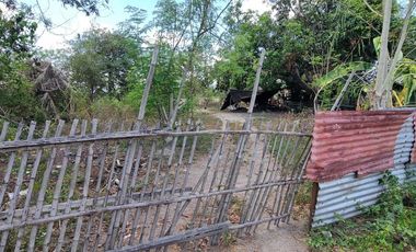 1 Hectare Agricultural Land For SALE in Sitio Maluyus, Bical Mabalacat,, Pampanga