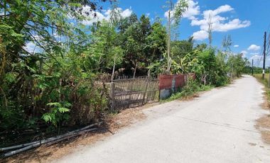 1 Hectare Agricultural Land For SALE in Sitio Maluyus, Bical Mabalacat,, Pampanga