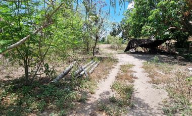 1 Hectare Agricultural Land For SALE in Sitio Maluyus, Bical Mabalacat,, Pampanga