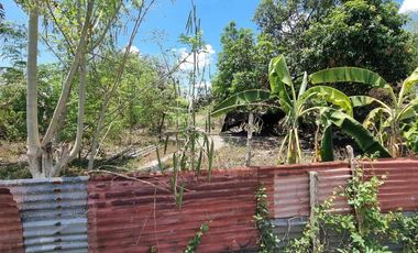 1 Hectare Agricultural Land For SALE in Sitio Maluyus, Bical Mabalacat,, Pampanga