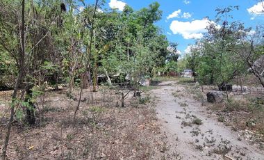 1 Hectare Agricultural Land For SALE in Sitio Maluyus, Bical Mabalacat,, Pampanga
