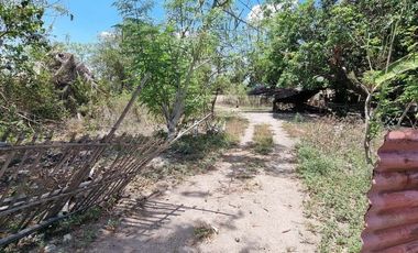 1 Hectare Agricultural Land For SALE in Sitio Maluyus, Bical Mabalacat,, Pampanga