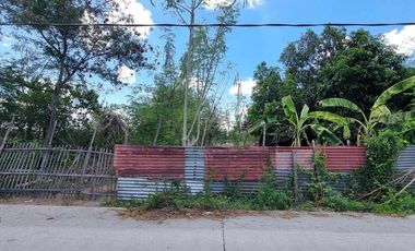 1 Hectare Agricultural Land For SALE in Sitio Maluyus, Bical Mabalacat,, Pampanga