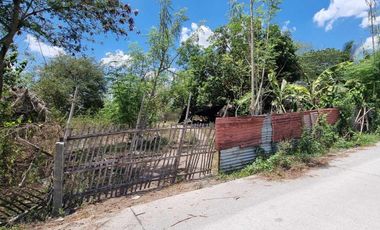 1 Hectare Agricultural Land For SALE in Sitio Maluyus, Bical Mabalacat,, Pampanga