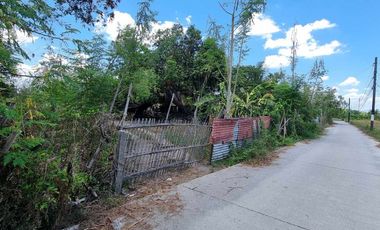 1 Hectare Agricultural Land For SALE in Sitio Maluyus, Bical Mabalacat,, Pampanga