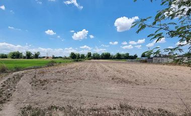 1 Hectare Agricultural Land For SALE in Sitio Maluyus, Bical Mabalacat,, Pampanga