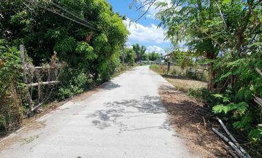 1 Hectare Agricultural Land For SALE in Sitio Maluyus, Bical Mabalacat,, Pampanga