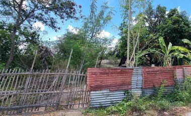 1 Hectare Agricultural Land For SALE in Sitio Maluyus, Bical Mabalacat,, Pampanga