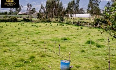 Hermoso Lote Campestre en Cotacachi: 4.280 m2 de Naturaleza