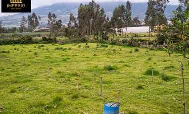 Hermoso Lote Campestre en Cotacachi: 4.280 m2 de Naturaleza