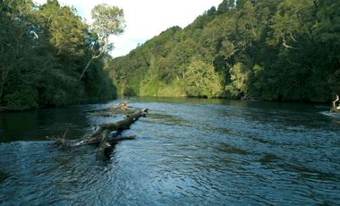 Parcelas en Río Maullín
