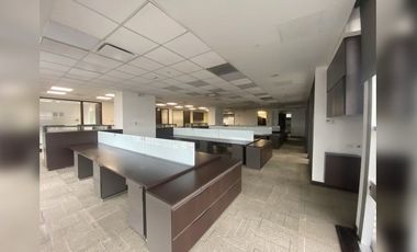 Oficina disponible Andino Nogal Torre Amadeus 614  m²