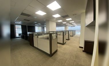 Oficina disponible Andino Nogal Torre Amadeus 614  m²