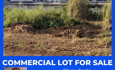 334 SQM Commercial Lot for Sale in Silang near CALAX & Ayala CBD