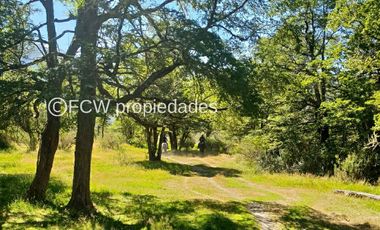 SE VENDE PREDIO DE 1.680 HECTÁREAS EN RÍO COLONIA. COMUNA DE COCHRANE