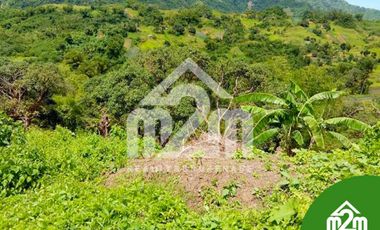 MOUNTAINVIEW RESIDENTIAL LOT FOR INSTALLMENT IN CEBU CITY