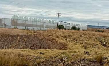 VENTA DE RANCHO GANADERO, TAMBIEN IDEAL PARA LOTIFICAR Y FRACCIONAR