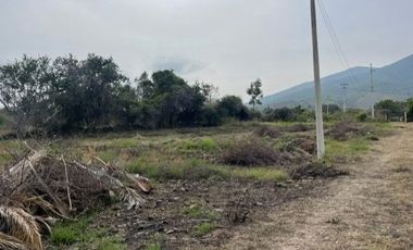 TERRENO VENTA SAN LUIS SOYATLAN CHAPALA
