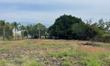 TERRENO VENTA SAN LUIS SOYATLAN CHAPALA