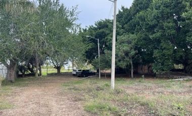 TERRENO VENTA SAN LUIS SOYATLAN CHAPALA