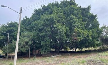 TERRENO VENTA SAN LUIS SOYATLAN CHAPALA