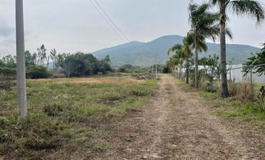 TERRENO VENTA SAN LUIS SOYATLAN CHAPALA