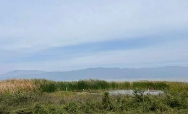 TERRENO VENTA SAN LUIS SOYATLAN CHAPALA