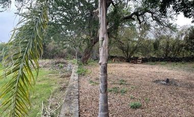 TERRENO VENTA SAN LUIS SOYATLAN CHAPALA