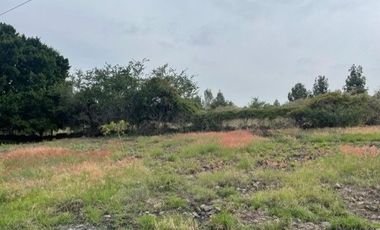TERRENO VENTA SAN LUIS SOYATLAN CHAPALA