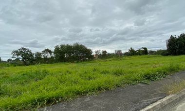 FOR SALE: Dasmariñas Techno Park - Industrial Lot, 2,162 Sqm., Governors Dr. Cavite