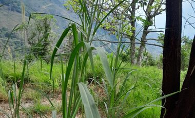 TE VENDO ESTA HUMILDE CASA FINCA EN BARBOSA ANTIOQUIA.