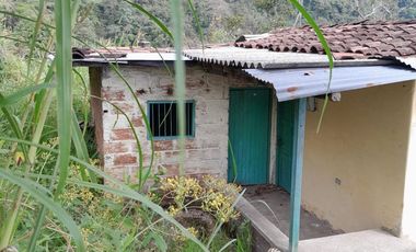 TE VENDO ESTA HUMILDE CASA FINCA EN BARBOSA ANTIOQUIA.